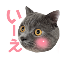 763384844