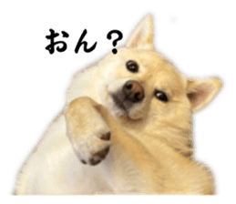 763405461