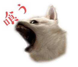 763405464