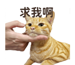 763406761