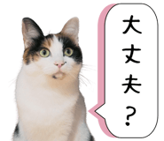 763408647