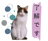 763408649