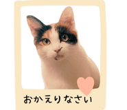 763408653