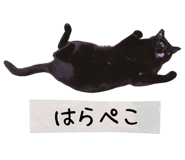 763408654