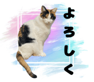 763408669