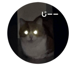 763409753