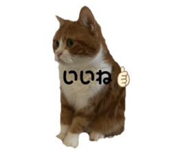 763409755
