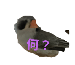 763414162