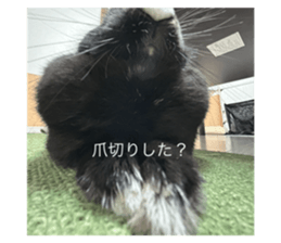 763420914