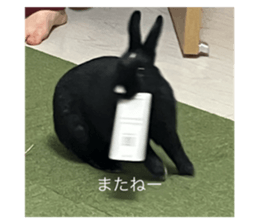 763420915