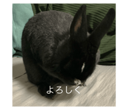 763420920
