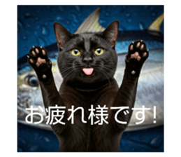 763424930