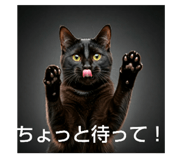763424931
