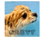 763432276