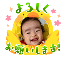 763433038