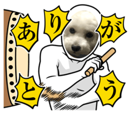 763438300
