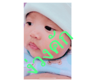 763445433