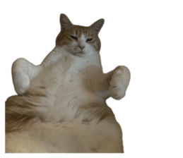 763445591