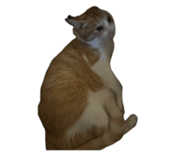 763445594