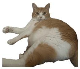 763445598