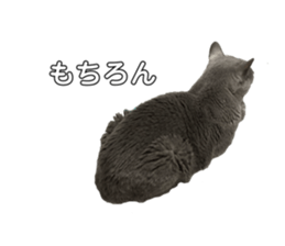763445772