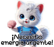 763447611