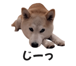 763464654