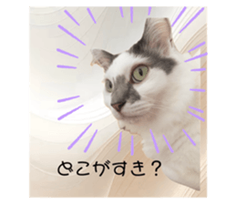 763469364
