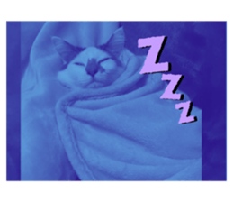 763469475