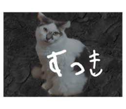 763469477