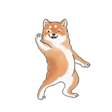 763477104