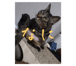 763479222