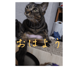 763479237