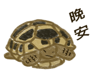 763486017