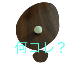 763491600