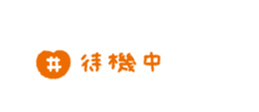 763494538