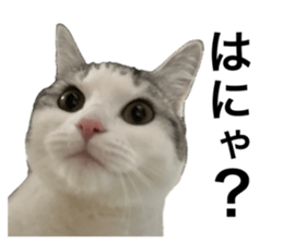 763495585