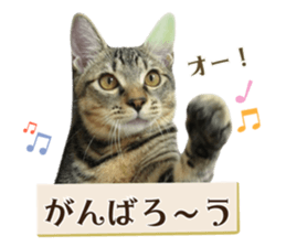 763496305