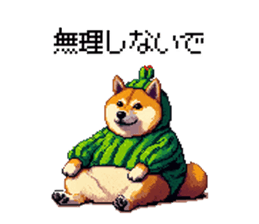 763496538