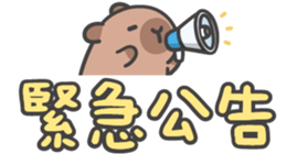 763513465
