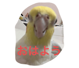 763514610