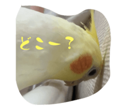 763514617