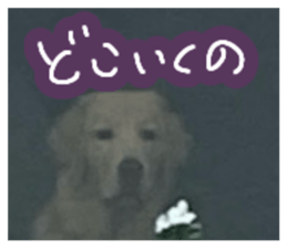 763517173