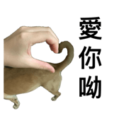 763517868