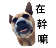 763517871