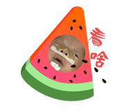 763518017