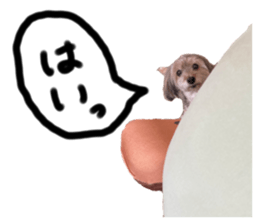 763520155