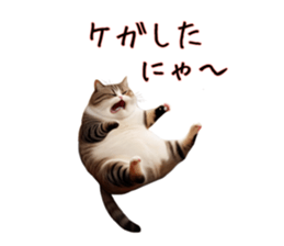 763523748