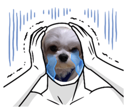 763524539