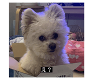 763524662